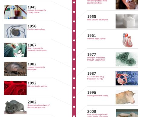 Timeline: Cosmetics Testing on Animals 